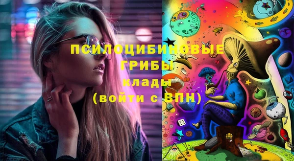 марки lsd Гусиноозёрск